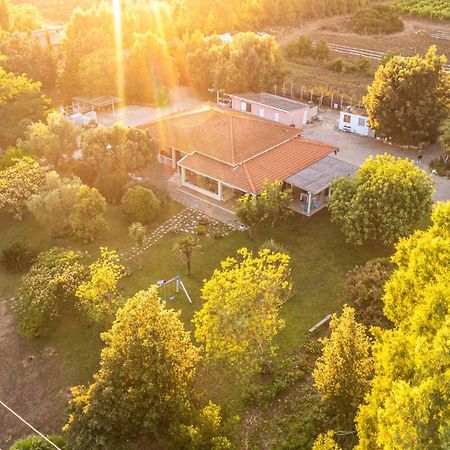 Bed and Breakfast The Vineyards Alghero Exterior foto